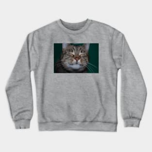 Happy cat Crewneck Sweatshirt